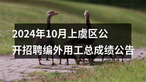 2024年10月上虞区公开招聘编外用工总成绩公告 图片
