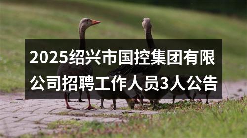 2025绍兴市国控集团有限公司招聘工作人员3人公告 图片